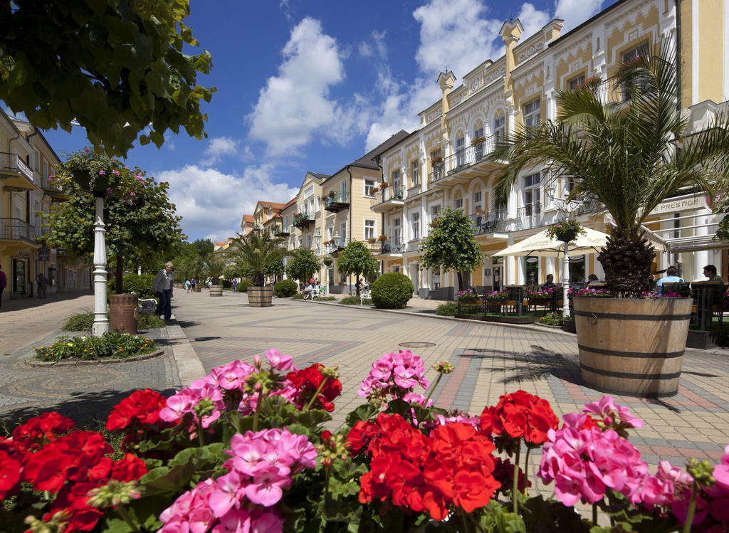 Dr. Adler Spa & Kurhotel Františkovy Lázně Dış mekan fotoğraf