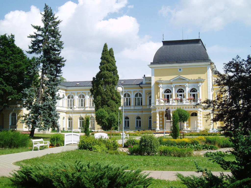 Dr. Adler Spa & Kurhotel Františkovy Lázně Dış mekan fotoğraf